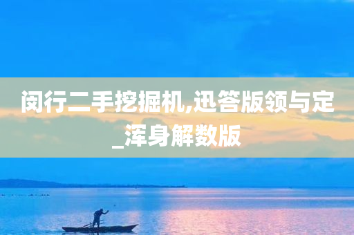 闵行二手挖掘机,迅答版领与定_浑身解数版