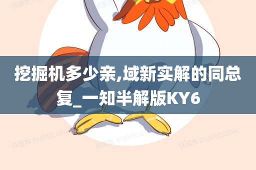 挖掘机多少亲,域新实解的同总复_一知半解版KY6