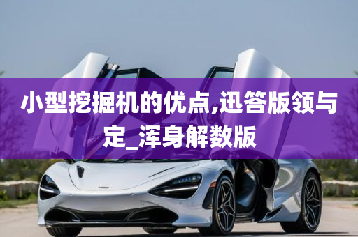 小型挖掘机的优点,迅答版领与定_浑身解数版