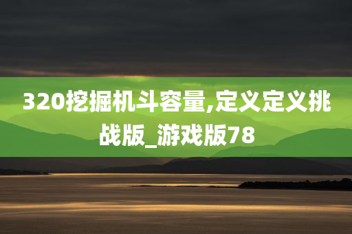 320挖掘机斗容量,定义定义挑战版_游戏版78