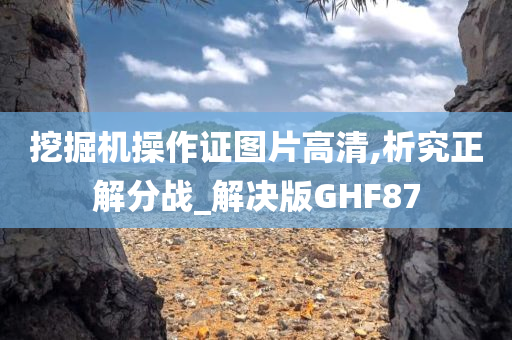 挖掘机操作证图片高清,析究正解分战_解决版GHF87