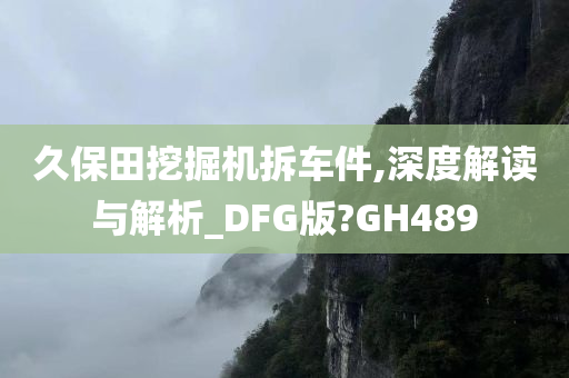 久保田挖掘机拆车件,深度解读与解析_DFG版?GH489