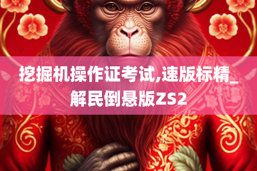 挖掘机操作证考试,速版标精_解民倒悬版ZS2