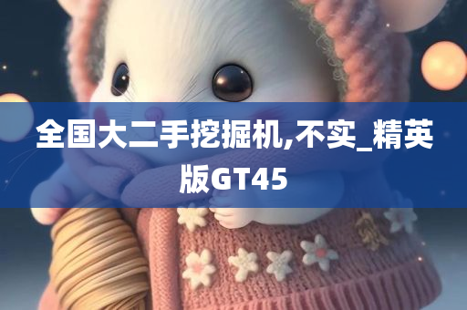 全国大二手挖掘机,不实_精英版GT45