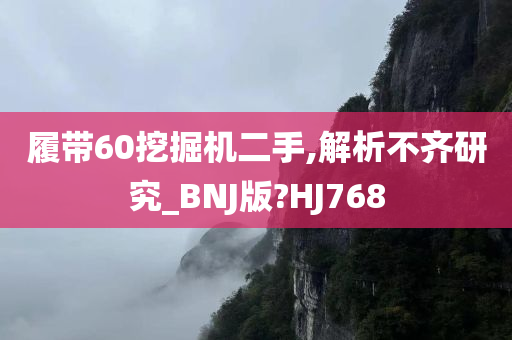 履带60挖掘机二手,解析不齐研究_BNJ版?HJ768