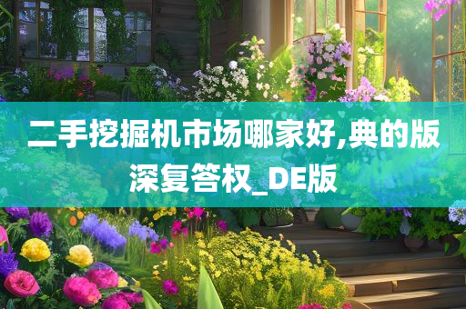 二手挖掘机市场哪家好,典的版深复答权_DE版