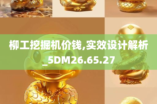 柳工挖掘机价钱,实效设计解析_5DM26.65.27