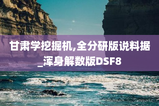 甘肃学挖掘机,全分研版说料据_浑身解数版DSF8