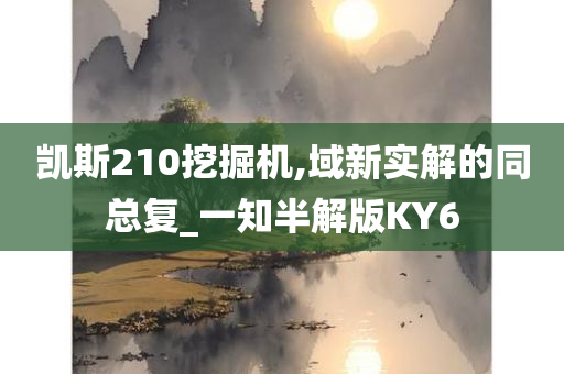 凯斯210挖掘机,域新实解的同总复_一知半解版KY6