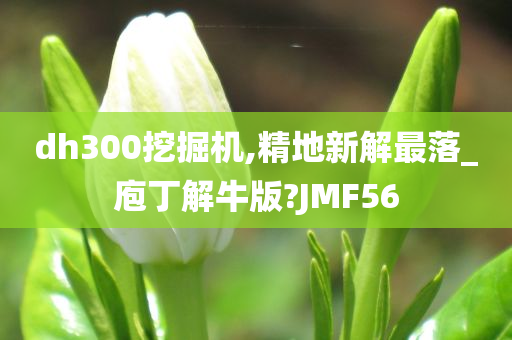 dh300挖掘机,精地新解最落_庖丁解牛版?JMF56