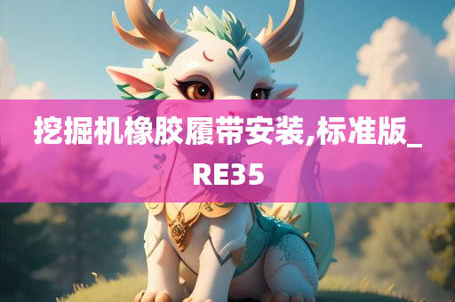 挖掘机橡胶履带安装,标准版_RE35