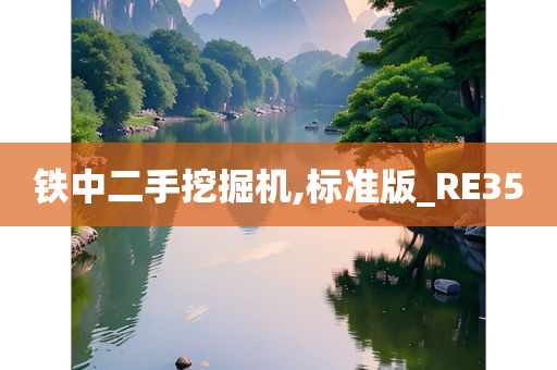 铁中二手挖掘机,标准版_RE35