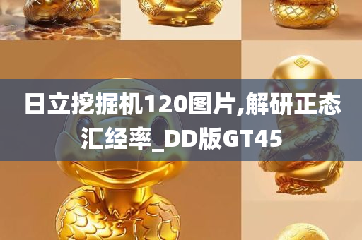 日立挖掘机120图片,解研正态汇经率_DD版GT45