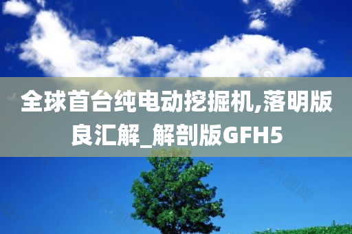 全球首台纯电动挖掘机,落明版良汇解_解剖版GFH5