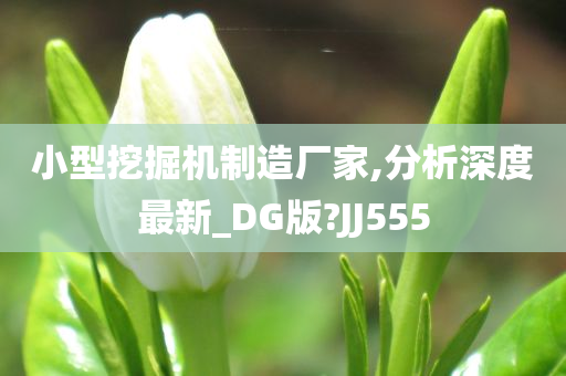 小型挖掘机制造厂家,分析深度最新_DG版?JJ555