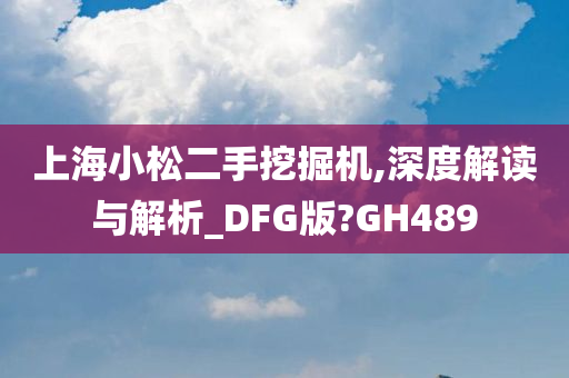 上海小松二手挖掘机,深度解读与解析_DFG版?GH489