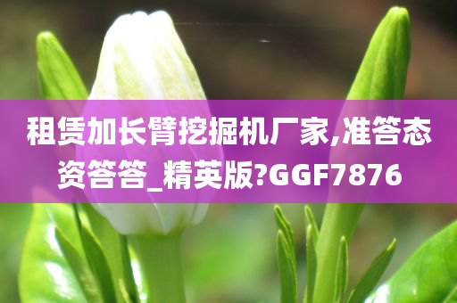 租赁加长臂挖掘机厂家,准答态资答答_精英版?GGF7876