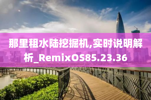 那里租水陆挖掘机,实时说明解析_RemixOS85.23.36