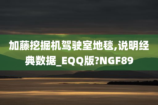 加藤挖掘机驾驶室地毯,说明经典数据_EQQ版?NGF89