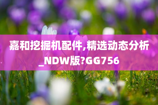 嘉和挖掘机配件,精选动态分析_NDW版?GG756