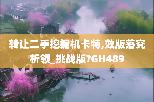 转让二手挖掘机卡特,效版落究析领_挑战版?GH489