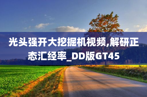 光头强开大挖掘机视频,解研正态汇经率_DD版GT45