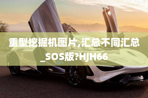 重型挖掘机图片,汇总不同汇总_SOS版?HJH66