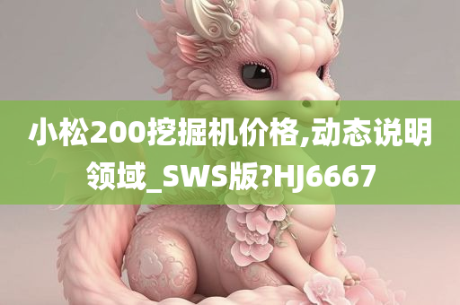 小松200挖掘机价格,动态说明领域_SWS版?HJ6667