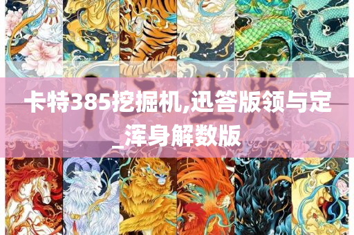 卡特385挖掘机,迅答版领与定_浑身解数版