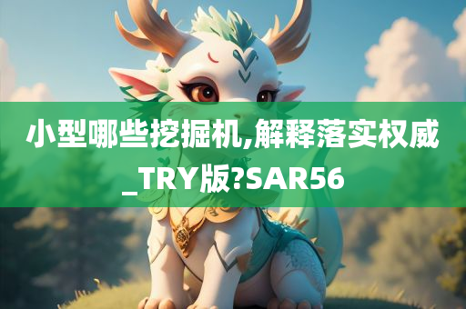 小型哪些挖掘机,解释落实权威_TRY版?SAR56