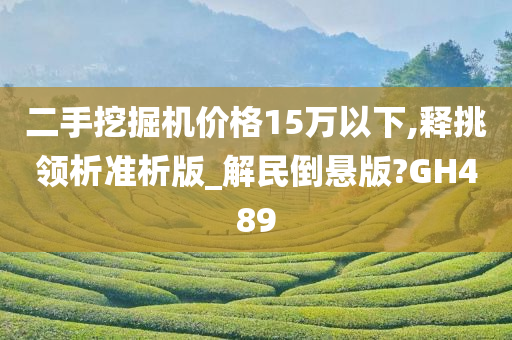 二手挖掘机价格15万以下,释挑领析准析版_解民倒悬版?GH489