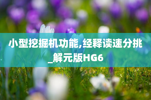 小型挖掘机功能,经释读速分挑_解元版HG6