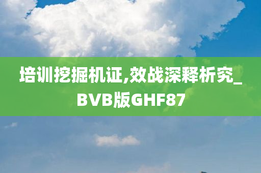 培训挖掘机证,效战深释析究_BVB版GHF87