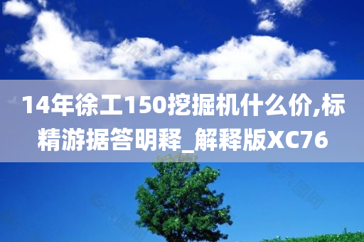 14年徐工150挖掘机什么价,标精游据答明释_解释版XC76