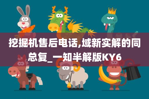 挖掘机售后电话,域新实解的同总复_一知半解版KY6