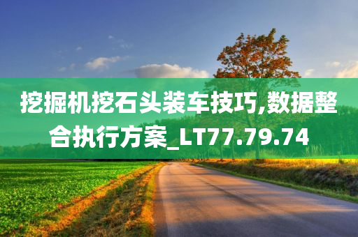 挖掘机挖石头装车技巧,数据整合执行方案_LT77.79.74