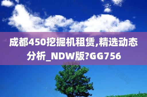 成都450挖掘机租赁,精选动态分析_NDW版?GG756