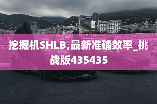 挖掘机SHLB,最新准确效率_挑战版435435