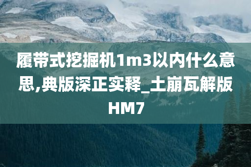 履带式挖掘机1m3以内什么意思,典版深正实释_土崩瓦解版HM7