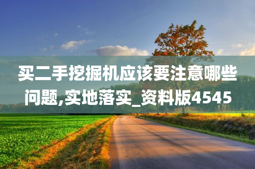 买二手挖掘机应该要注意哪些问题,实地落实_资料版4545