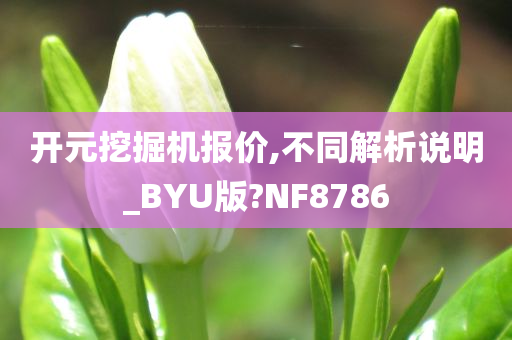 开元挖掘机报价,不同解析说明_BYU版?NF8786