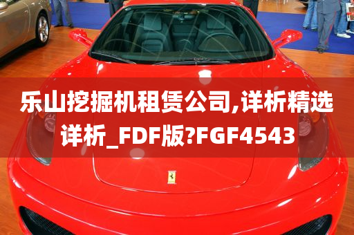 乐山挖掘机租赁公司,详析精选详析_FDF版?FGF4543