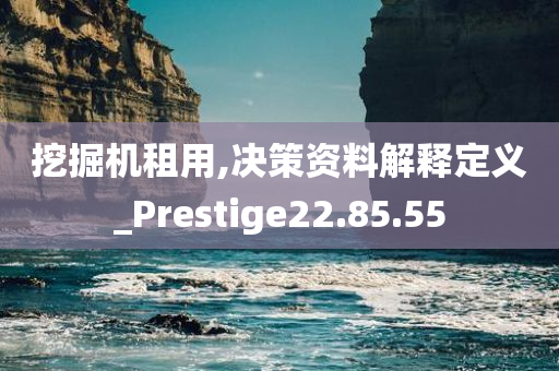 挖掘机租用,决策资料解释定义_Prestige22.85.55