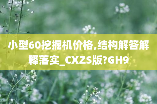 小型60挖掘机价格,结构解答解释落实_CXZS版?GH9