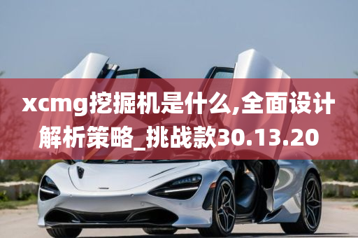 xcmg挖掘机是什么,全面设计解析策略_挑战款30.13.20