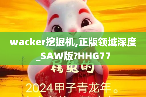 wacker挖掘机,正版领域深度_SAW版?HHG77