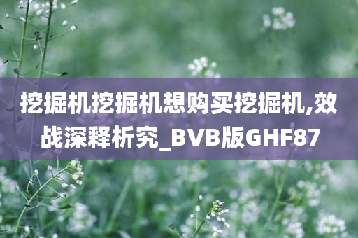 挖掘机挖掘机想购买挖掘机,效战深释析究_BVB版GHF87