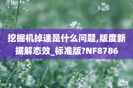 挖掘机掉速是什么问题,版度新据解态效_标准版?NF8786