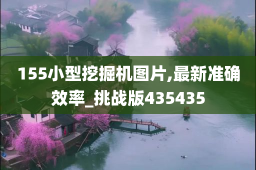 155小型挖掘机图片,最新准确效率_挑战版435435