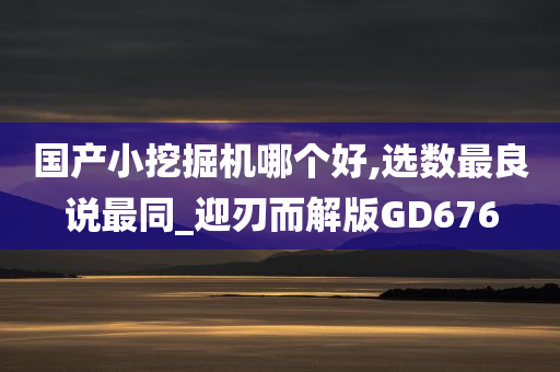 国产小挖掘机哪个好,选数最良说最同_迎刃而解版GD676